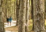 Sendero de Av. Parque de los Pioneros. Que hacer en Pinamar