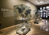 Museo Arqueol�gico de La Serena. Que hacer en La Serena