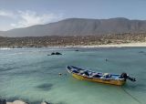 Visitar Totoralillo. Que hacer en Coquimbo