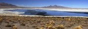 Calama