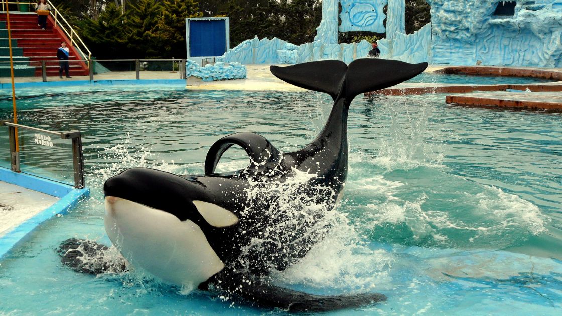 San Clemente del Tuy� Provincia de Buenos Aires