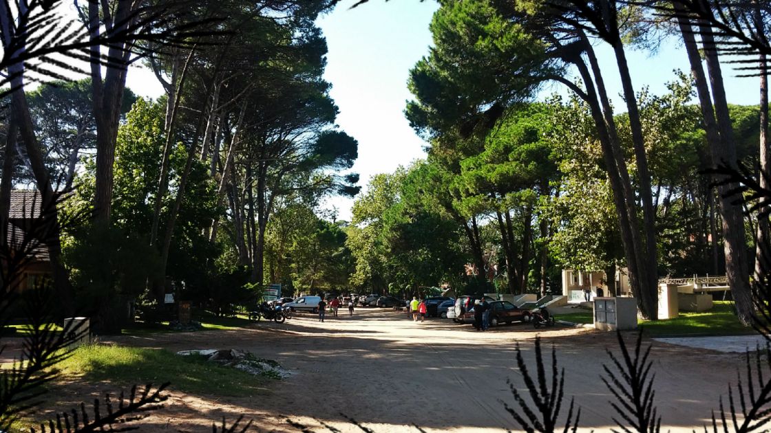 Caril� Provincia de Buenos Aires