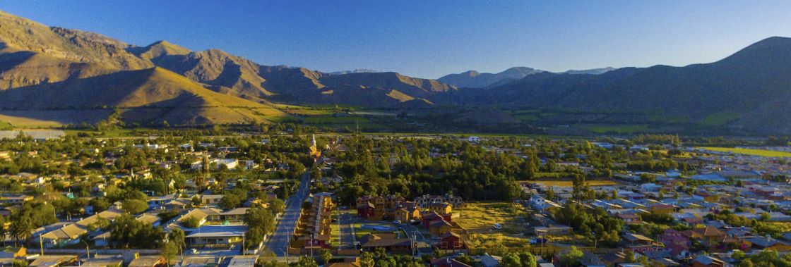 Vicu�a Regi�n de La Araucan�a