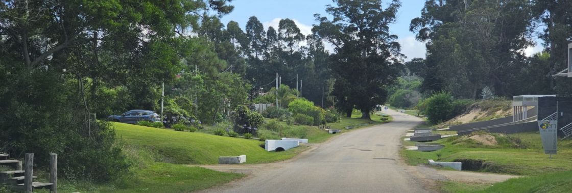 Sauce de Portezuelo Departamento Maldonado