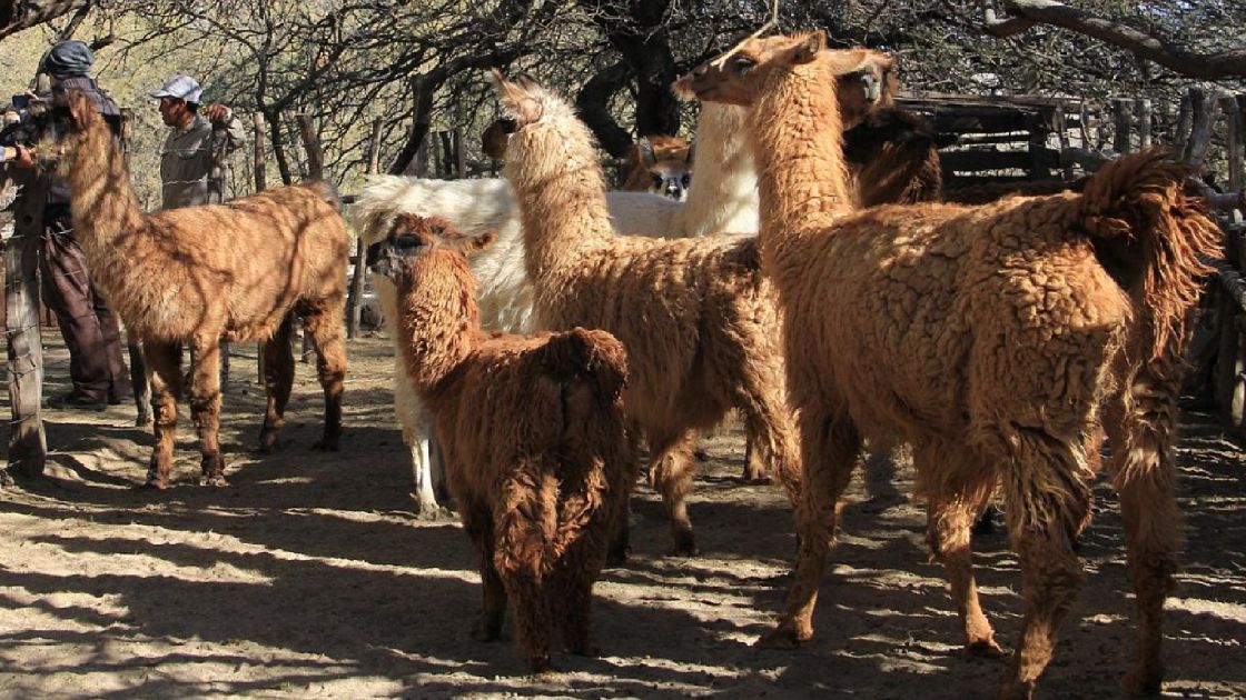 Santa Mar�a Catamarca