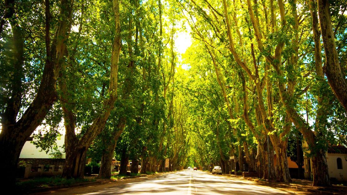 Colonia Caroya C�rdoba