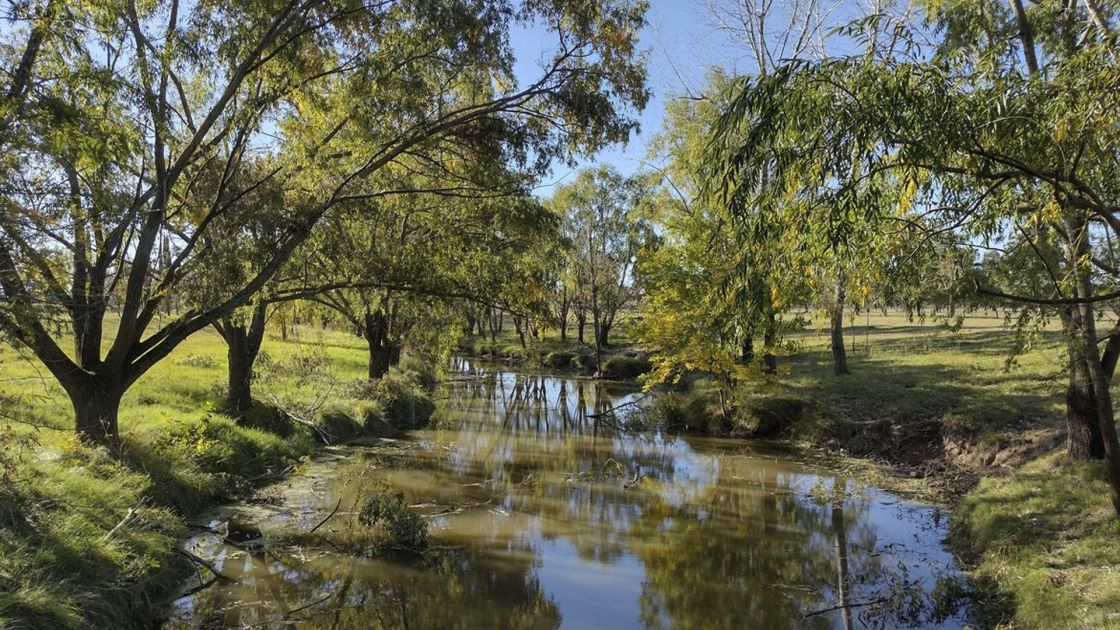 Mercedes (C) Corrientes
