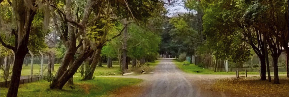 Arroyo Seco Santa F�