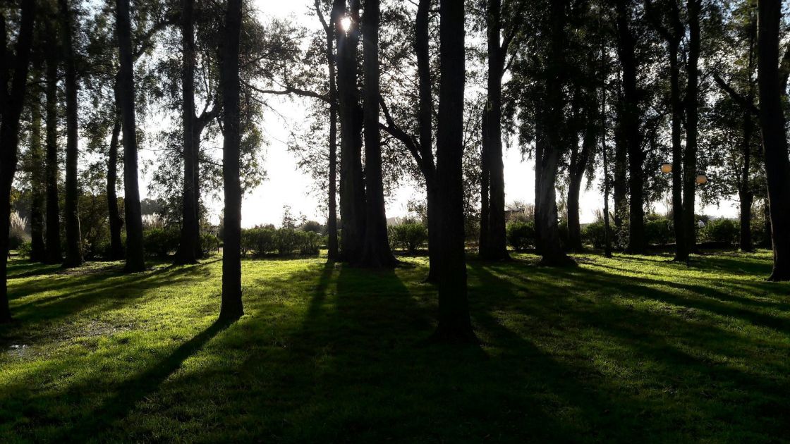 Coronel Brandsen Provincia de Buenos Aires