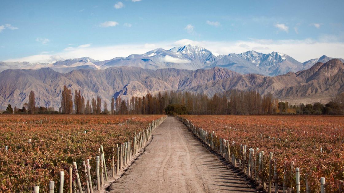 Luj�n de Cuyo Mendoza