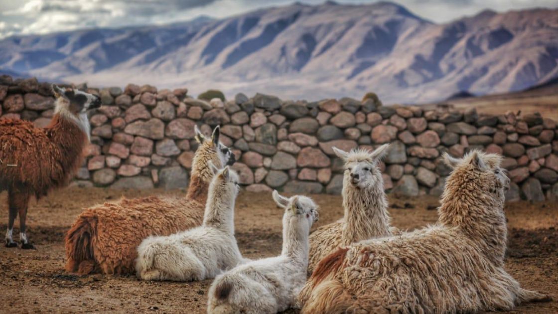 Taf� del Valle Tucum�n