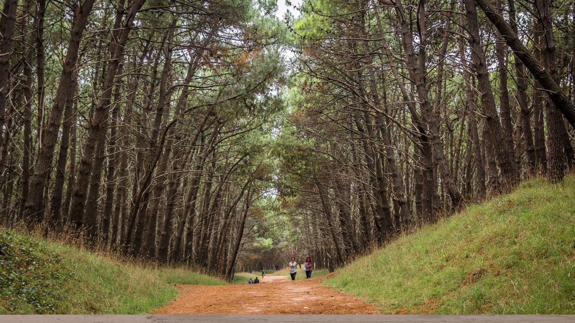 Necochea Provincia de Buenos Aires