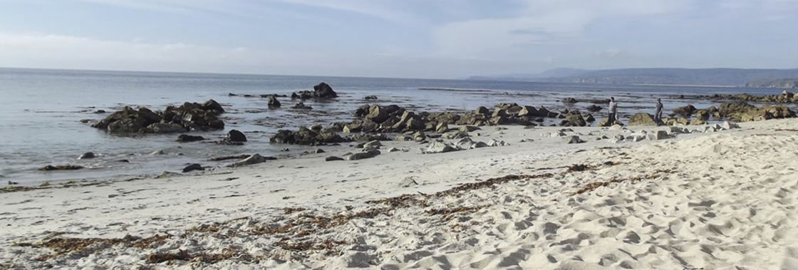 Algarrobo Regi�n de Valpara�so