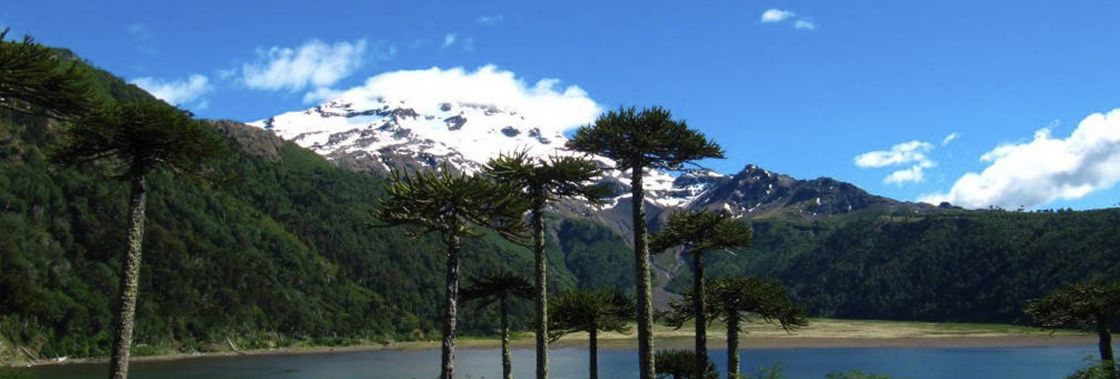 Curacaut�n Regi�n de La Araucan�a