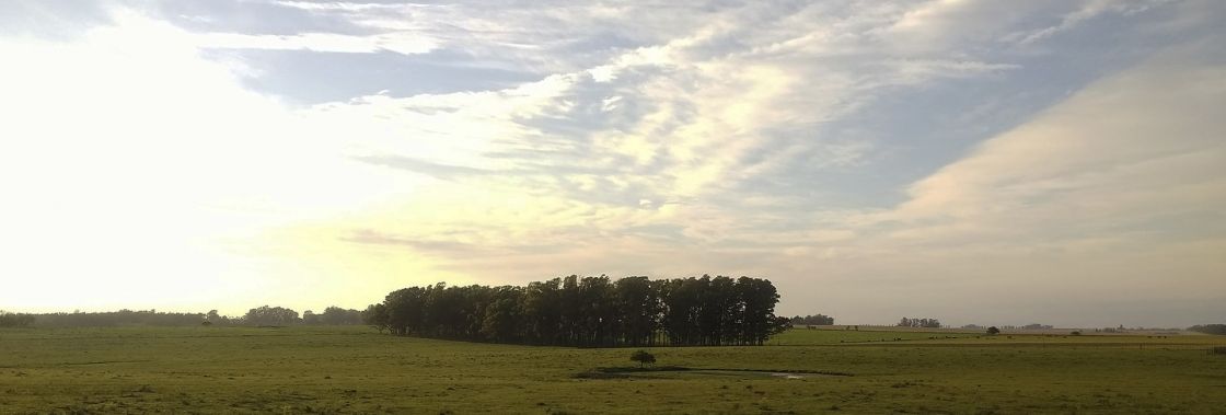 Trinidad Departamento Flores