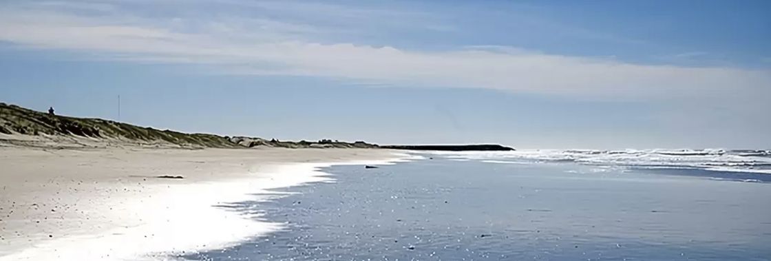 Chuy Departamento Rocha