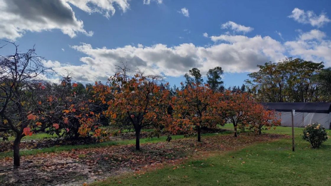San Pedro Provincia de Buenos Aires