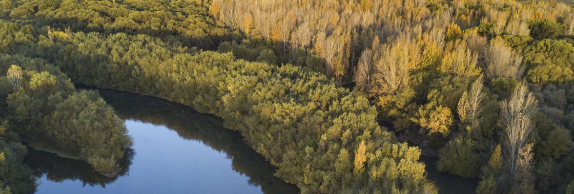 R�o Colorado R�o Negro