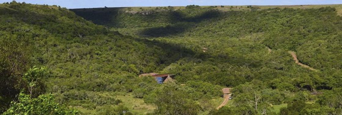 Tacuarembo Departamento de Tacuarembo