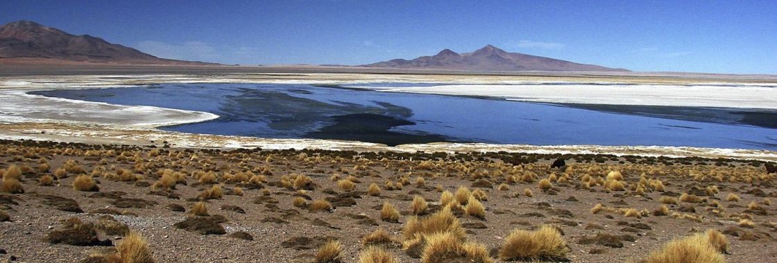 Calama Regi�n de Antofagasta