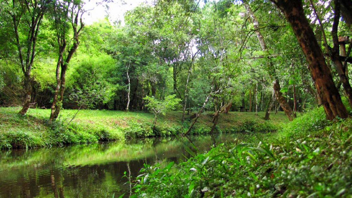 Leandro N. Alem Misiones