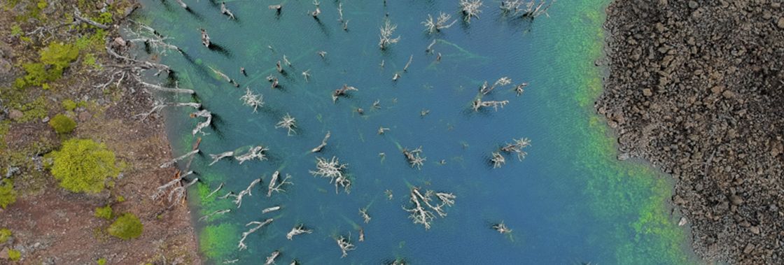 Malalcahuello Regi�n de La Araucan�a