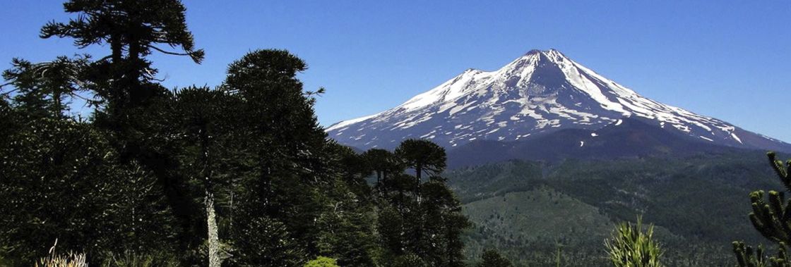 Regi�n de La Araucan�a 