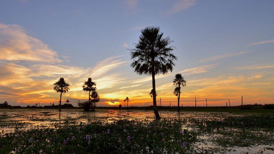 Corrientes 