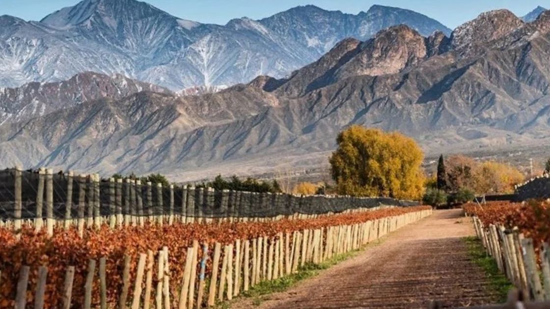 Mendoza 