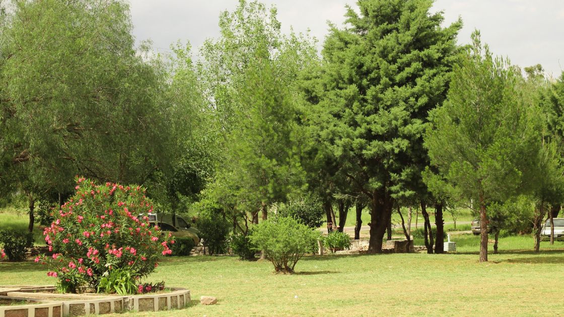 San Luis 
