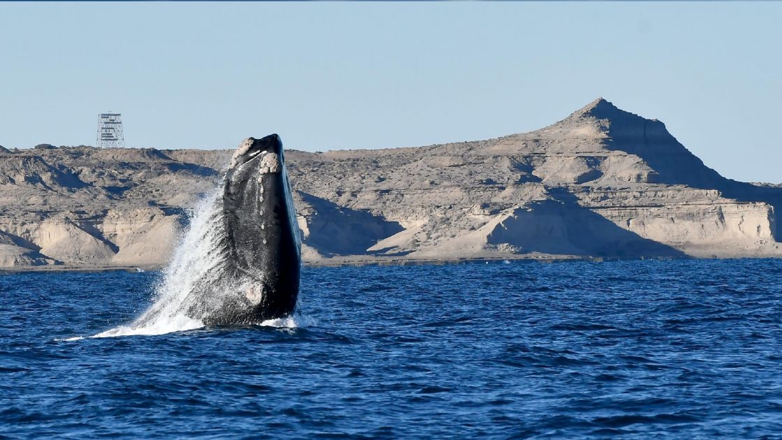 Chubut 